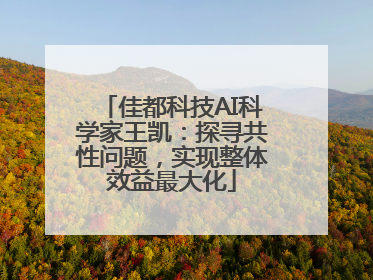 佳都科技AI科学家王凯：探寻共性问题，实现整体效益最大化