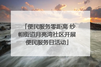便民服务零距离 纱帽街道月亮湾社区开展便民服务日活动