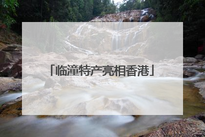 临潼特产亮相香港