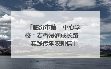 临汾市第一中心学校：麦香浸润成长路 实践传承农耕情
