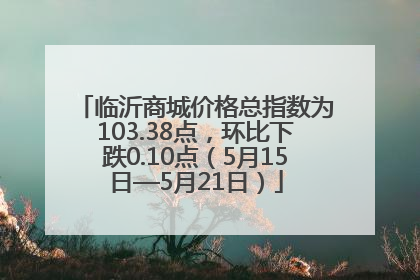 临沂商城价格总指数为103.38点，环比下跌0.10点（5月15日—5月21日）