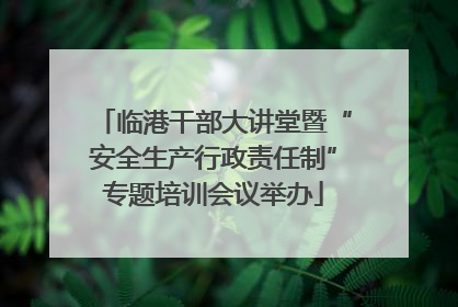 临港干部大讲堂暨“安全生产行政责任制”专题培训会议举办