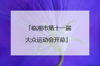 临湘市第十一届大众运动会开幕