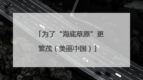 为了“海底草原”更繁茂（美丽中国）
