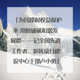 为民撑起权益保护伞 用情铺就和谐发展路——记全国先进工作者、新区项目建设中心干部卢小勇