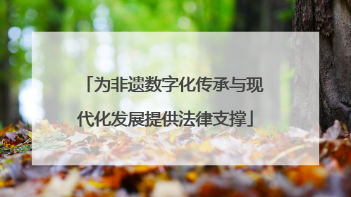 为非遗数字化传承与现代化发展提供法律支撑
