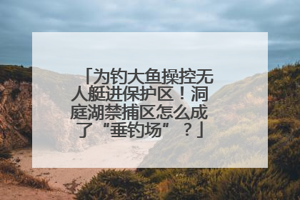 为钓大鱼操控无人艇进保护区！洞庭湖禁捕区怎么成了“垂钓场”？
