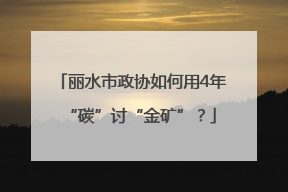 丽水市政协如何用4年“碳”讨“金矿”？