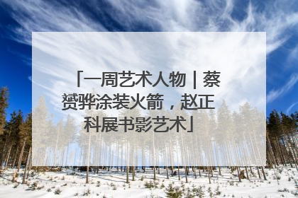 一周艺术人物｜蔡赟骅涂装火箭，赵正科展书影艺术