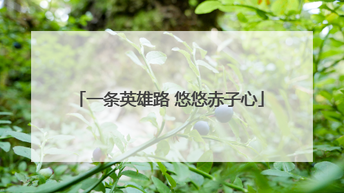 一条英雄路 悠悠赤子心