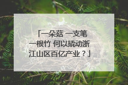 一朵菇 一支笔 一根竹 何以撬动浙江山区百亿产业？