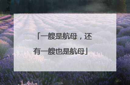 一艘是航母，还有一艘也是航母
