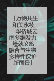 万物共生 和美永续｜华侨城云南多维发力 绘就文旅融合与生物多样性保护新图景