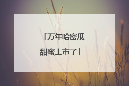 万年哈密瓜甜蜜上市了