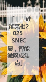 三一硅能亮相2025 SNEC展，智能微网成焦点