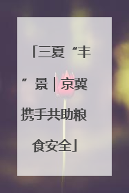 三夏“丰”景｜京冀携手共助粮食安全