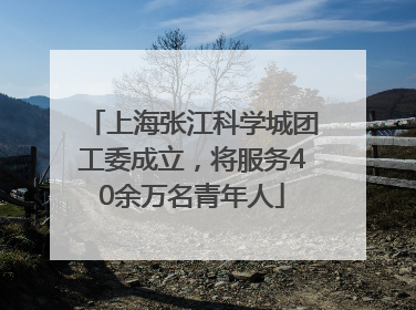 上海张江科学城团工委成立，将服务40余万名青年人