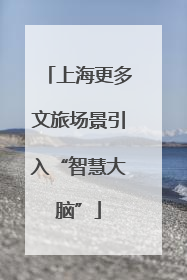 上海更多文旅场景引入“智慧大脑”