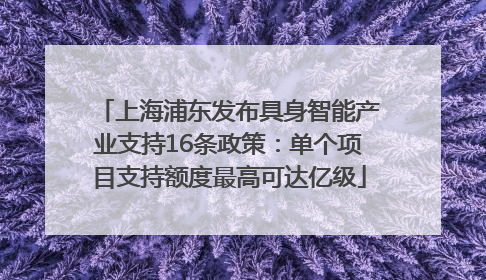 上海浦东发布具身智能产业支持16条政策：单个项目支持额度最高可达亿级