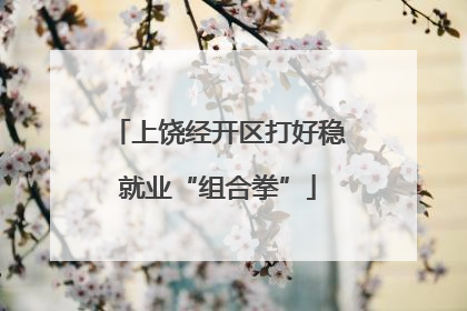 上饶经开区打好稳就业“组合拳”