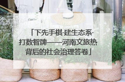 下先手棋·建生态系·打数智牌——河南文旅热背后的社会治理答卷