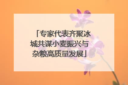 专家代表齐聚冰城共谋小麦振兴与杂粮高质量发展