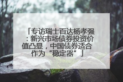 专访瑞士百达杨孝强：新兴市场债券投资价值凸显，中国债券适合作为“稳定器”