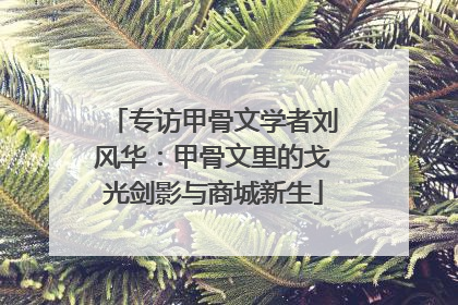 专访甲骨文学者刘风华：甲骨文里的戈光剑影与商城新生