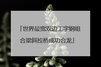 世界最宽双边工字钢组合梁斜拉桥成功合龙