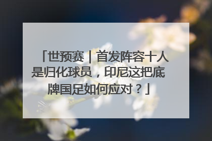 世预赛｜首发阵容十人是归化球员，印尼这把底牌国足如何应对？