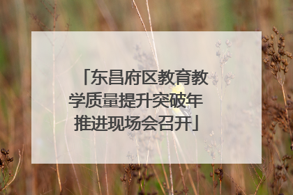 东昌府区教育教学质量提升突破年推进现场会召开