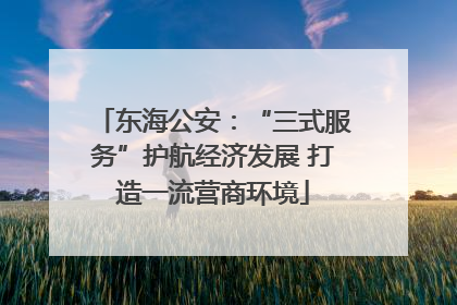 东海公安：“三式服务”护航经济发展 打造一流营商环境