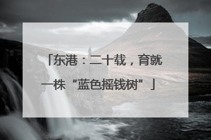 东港：二十载，育就一株“蓝色摇钱树”