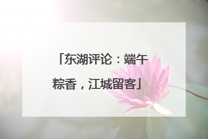 东湖评论：端午粽香，江城留客