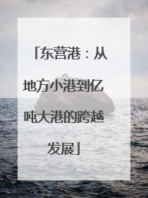东营港：从地方小港到亿吨大港的跨越发展
