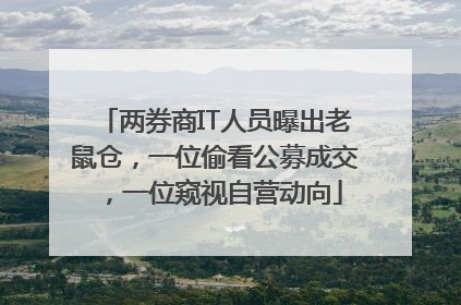 两券商IT人员曝出老鼠仓，一位偷看公募成交，一位窥视自营动向