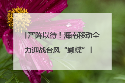 严阵以待！海南移动全力迎战台风“蝴蝶”
