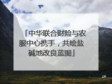 中华联合财险与农服中心携手，共绘盐碱地改良蓝图