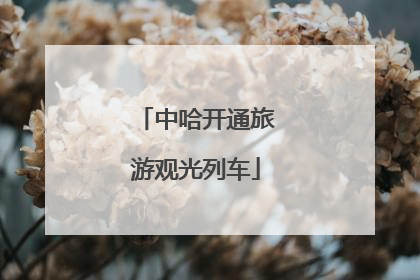 中哈开通旅游观光列车