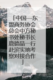中国—东盟商务协会总会中方秘书处秘书长鹿德晶一行赴滨实地考察对接合作