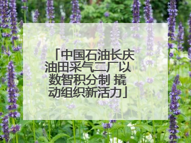 中国石油长庆油田采气二厂以数智积分制 撬动组织新活力