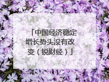 中国经济稳定增长势头没有改变（锐财经）
