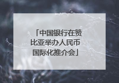 中国银行在赞比亚举办人民币国际化推介会