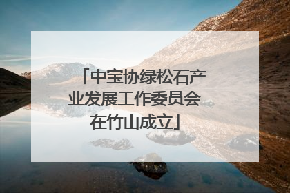 中宝协绿松石产业发展工作委员会在竹山成立