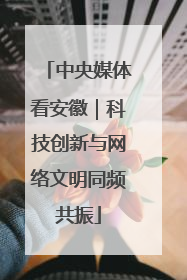 中央媒体看安徽｜科技创新与网络文明同频共振