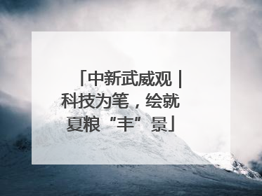 中新武威观｜科技为笔，绘就夏粮“丰”景