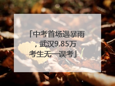 中考首场遇暴雨，武汉9.85万考生无一误考