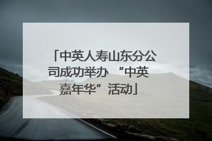 中英人寿山东分公司成功举办 “中英嘉年华”活动