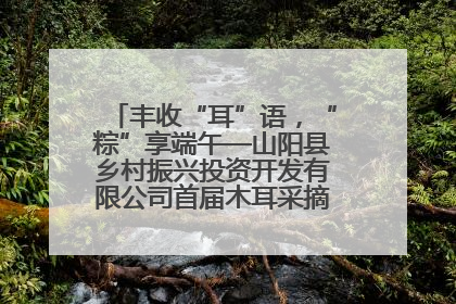 丰收“耳”语，“粽”享端午—山阳县乡村振兴投资开发有限公司首届木耳采摘活动盛大启幕
