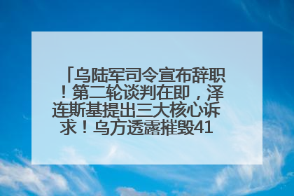 乌陆军司令宣布辞职！第二轮谈判在即，泽连斯基提出三大核心诉求！乌方透露摧毁41架俄战略轰炸机
